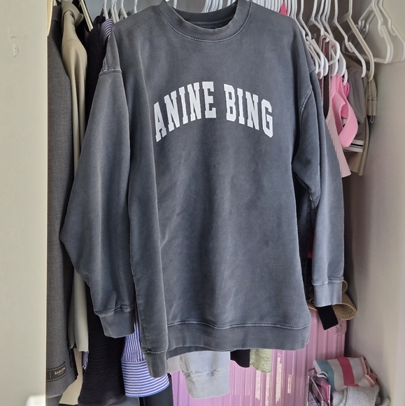 Anine Bing Oversized Sweatshirt - Picture 3 of 4